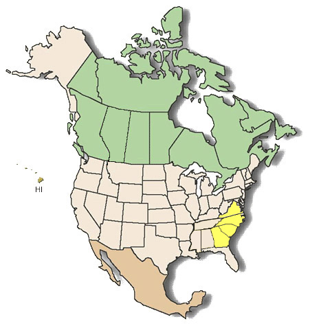 north america map